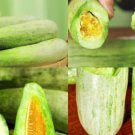 Sweet Melon Vegetable Seeds - Garden Fruit Plant - 15 Seeds