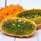 CUCUMBER African Horned Vegetable Seeds - Garden Fruit Plant - 25 Seeds