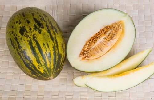Extremely sweet Melon 'Piel de Sapo' 'Christmas Melon' Seeds - Garden Fruit Plant - 10 Seeds