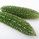 Bitter Melon Futo Spindle Vegetable Seeds - Garden Fruit Plant - 7 Seeds