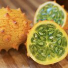 Horned Melon Seeds Cucumis Metuliferus Vegetable Seeds - Garden Fruit Plant - 5 Seeds