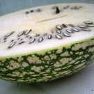 Shark Fin Melon Seeds Wax Gourd Vegetable Seeds - Garden Fruit Plant - 20 Seeds