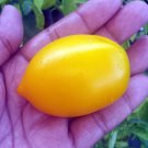 Yellow Plum Tomato Seeds - Garden Vegetable Plant - 10 Seeds