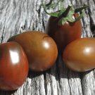 TOMATO 'Black Plum' Vegetable Seeds - Garden Fruit Plant - 10 Seeds