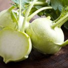 KOHLRABI White Vienna Winter Home Vegetable Seeds - Garden Vegetable Plant - 200 Seeds