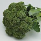 BROCCOLI 'Green Sprouting' Calabrese Vegetable - Vegetable Garden Plant - 125X Seeds