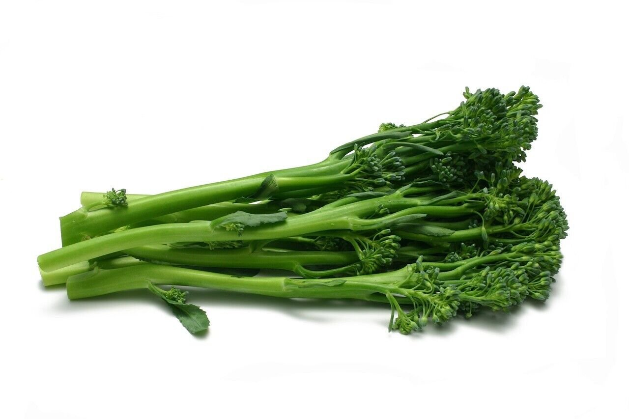 Broccoli Broccoletti Vegetable - Vegetable Garden Plant - 25X Seeds