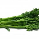Broccoli Broccoletti Vegetable - Vegetable Garden Plant - 25X Seeds