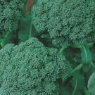 Broccoli Seeds "Waltham" Vegetable - Vegetable Garden Plant - 300X Seeds