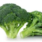 Broccoli Seeds “Di Cicco” Vegetable - Vegetable Garden Plant - 300X Seeds