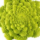 Broccoli Seeds "Romanesco" Vegetable - Vegetable Garden Plant - 200X Seeds