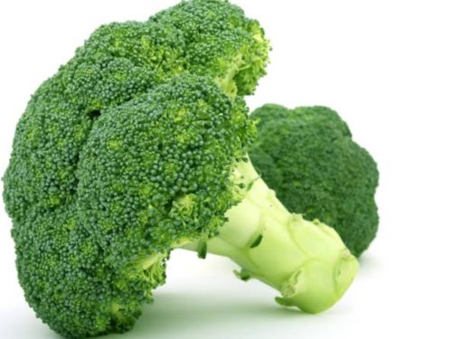 Broccoli Seeds"Di Cicco Early" Vegetable - Vegetable Garden Plant - 300X Seeds