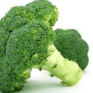 Broccoli Seeds"Di Cicco Early" Vegetable - Vegetable Garden Plant - 300X Seeds