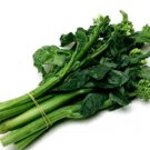 Chinese Broccoli "Jade" Vegetable - Vegetable Garden Plant - 200X Seeds