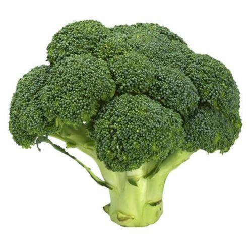 Broccoli Vegetable - Vegetable Garden Plant - 50X Seeds