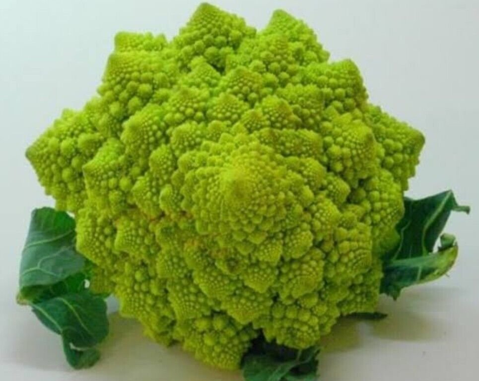 Romanesco Broccoli Vegetable - Vegetable Garden Plant - 100X Seeds