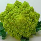 Romanesco Broccoli Vegetable - Vegetable Garden Plant - 100X Seeds