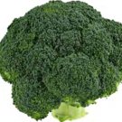 Broccoli seeds "Italian Green" Vegetable - Vegetable Garden Plant - 100X Seeds