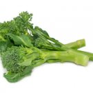 BROCCOLI BROCCOLETTI Vegetable - Vegetable Garden Plant - 50X Seeds