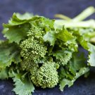 Broccoli Rapini raab Broccolini Vegetable - Vegetable Garden Plant - 100X Seeds