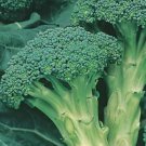 ITALIAN SPROUTING BROCCOLI SEEDS Vegetable - Vegetable Garden Plant - 50X Seeds