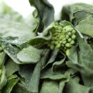 KAILAAN Chinese Kale Chinese Broccoli Vegetable - Vegetable Garden Plant - 100X Seeds