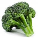 Broccoli Seed Sprouting Italian Broccoli Vegetable - Vegetable Garden Plant - 50X Seeds
