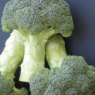 BROCCOLI Bridge F1 Hybrid Vegetable - Vegetable Garden Plant - 20X Seeds