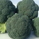 BROCCOLI Fusion F1 Hybrid Vegetable - Vegetable Garden Plant - 20X Seeds