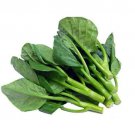 Asian Chinese broccoli Vegetable - Vegetable Garden Plant - 100X Seeds