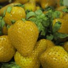 Yellow Strawberry Local Fruit Seeds - Fruit Home Garden - 10X Seeds