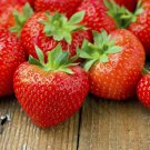 Super Sweet Strawberry Temptation Fruit Seeds - Fruit Home Garden - 25X Seeds