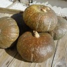 Pumpkin STRAWBERRY CROWN Fruit Seeds - Fruit Home Garden - 12X Seeds
