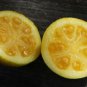 Yellow Strawberry Guava Psidium cattleyanum Fruit Seeds - Fruit Home Garden - 30X Seeds