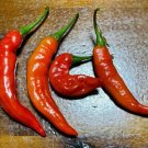 AJI Strawberry Drop Chilli Vegetable Seeds - Fruit Home Garden - 15X Seeds