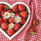WILD STRAWBERRY SEEDS Fruit Seeds - Fruit Home Garden - 10X Seeds