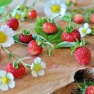 STRAWBERRY 'Alpine' MINI SWEET Fruit Seeds - Fruit Home Garden - 30X Seeds