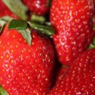 Strawberry *Alpine* Tasty Fruit Seeds - Fruit Home Garden - 10X Seeds