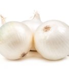 ONION SEEDS GLADALAN WHITE Seeds - Vegetable Home Garden - 100 Seeds