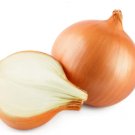Onion Seeds “Gladalan Brown” Seeds - Vegetable Home Garden - 100 Seeds