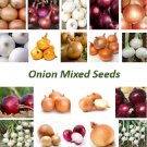 ONION SEEDS MIXED Heirloom Seeds - Vegetable Home Garden - 30 Seeds