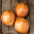 Onion Pukekohe Long Keeper Seeds - Vegetable Home Garden - 75 Seeds