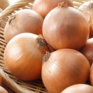 ONION Gladalan Brown Winter Seeds - Vegetable Home Garden - 100 Seeds