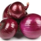 ONION RED GRANO Seeds - Vegetable Home Garden - 100 Seeds