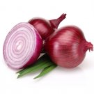 Onion 'Red Brunswick' vegetable Seeds - Vegetable Home Garden - 120 Seeds