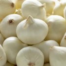 ONION Barletta White Pickling vegetable Seeds - Vegetable Home Garden - 40 Seeds