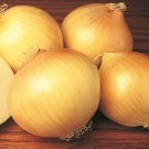 ONION- Yellow Spanish Early vegetable Seeds - Vegetable Home Garden - 200 Seeds