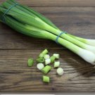 Spring Onion LISBON WHITE vegetable Seeds - Vegetable Home Garden - 100 Seeds
