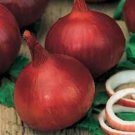 ONION CALIFORNIAN RED vegetable Seeds - Vegetable Home Garden - 200 Seeds