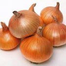 Cream gold Onion Seeds vegetable Seeds - Vegetable Home Garden - 50 Seeds